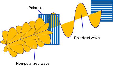 Polarized light Linearly polarized light only the magnitude of the E-Vector changes Circularly polarized light the magnitude