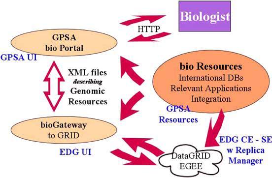 39 Bio-informatic and Grid Gridification of the bio applications: Allowing distribution of large datasets
