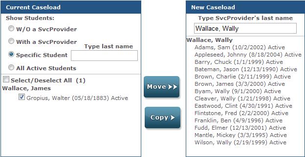 2) Type the name of the new Service Provider in the New Caseload pane.