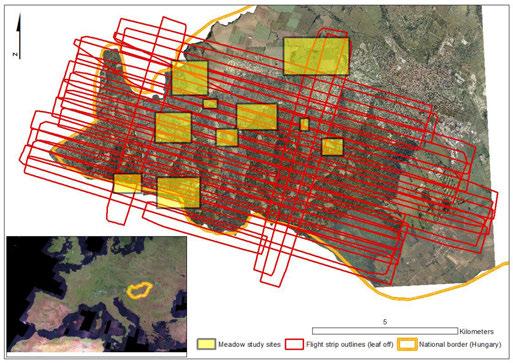 Grassland types: Study site and data Field data May + Sept 2012, April + May 2013 mapped literally everything they saw and could parameters related to species, structure or disturbance