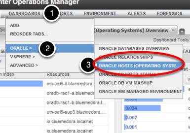 Oracle Hosts Overview Dashboards The Oracle Host Overview Dashboard allows you to look at the top Oracle Hosts by nine different operating system