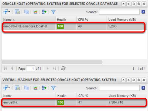 Automatic Oracle Host and Virtual Machine Selection Once the Oracle database is