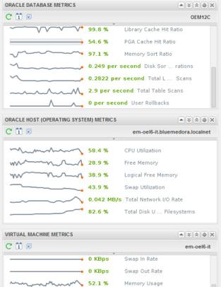 Viewing the Key Performance Indicators By selecting the Oracle database on the left, the metric sparkline widgets on the right will update to show the key performance indicators for each level in the