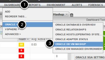 Oracle DB VM Mashup Dashboard The Oracle DB VM Mashup dashboard, allows the selection of any Oracle database