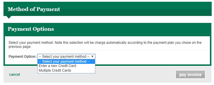 On the next screen, you may choose to pay with one or multiple credit cards. *Note that online invoice payments may only be completed by credit card.