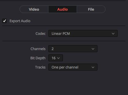 (your audio will come out as static) Make sure to choose 2 for the Channels drop down.