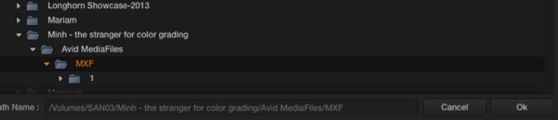 See later in this document for adding media prior to importing into Resolve.