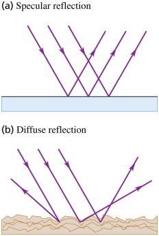 Reflection The law of reflection states that 1. The incident ray and the reflected ray are in the same plane normal to the surface, and 2.