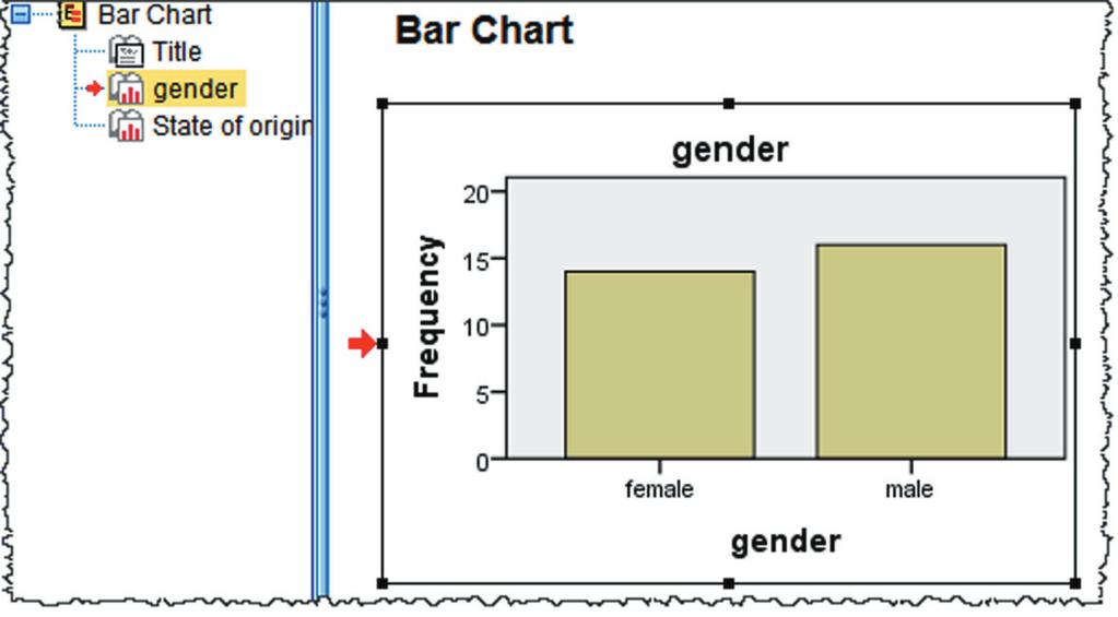 alone was outlined (see Figure 2-7). In the Output Display Pane, a selection box is now placed around the gender bar chart.