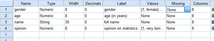 This was also the amount of characters we entered when we changed the type to String. This is what the Width column is for. It indicates how many characters for a string variable can be entered.