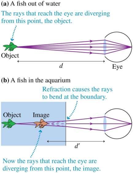 Image Formation by Refraction If you see a fish that appears to be swimming close to the front window of the aquarium, but then look through