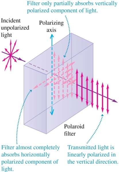 Polarization An electromagnetic wave is linearly polarized if the electric field has only one component.