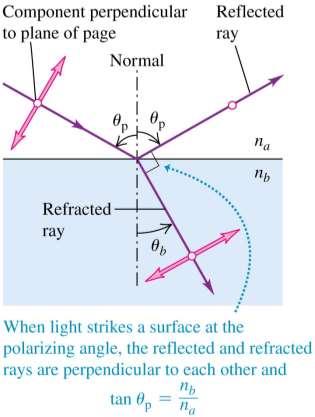 Polarization by reflection Unpolarized light can be polarized, either