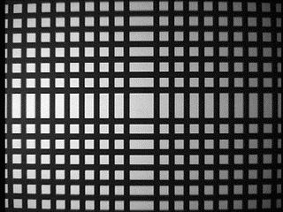 Natural images: Calibration grid Note spherical aberration of camera lens.
