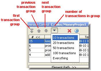 If you select a transaction in the top pane, a list of all elements involved in that transaction appear in the bottom pane (elements pane).