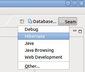 Chapter 5. Database Programming Figure 5.5. Hibernate Perspective Look at the Hibernate Configurations view.