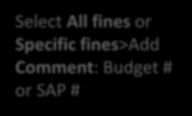Click Pay Select All fines or