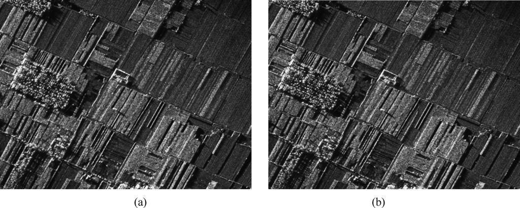 ZHANG et al.: WAVENUMBER-DOMAIN AUTOFOCUSING FOR HIGHLY SQUINTED UAV SAR IMAGERY 1585 Fig. 12. Image comparison. (a) Magnified local image from Fig. 6. (b) Magnified local image from Fig. 11. Fig. 13.