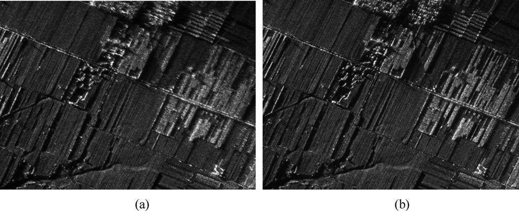 ZHANG et al.: WAVENUMBER-DOMAIN AUTOFOCUSING FOR HIGHLY SQUINTED UAV SAR IMAGERY 1587 Fig. 20. Image comparison. (a) Magnified local image from Fig. 13. (b) Magnified local image from Fig. 19.