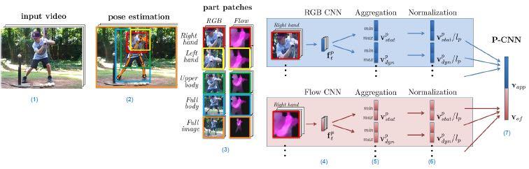 Pose-CNN (1) input video (2) human pose estimation (3) crop RGB and Optical Flow patches of body parts (4) extract CNN features (appearance and motion) per part and per
