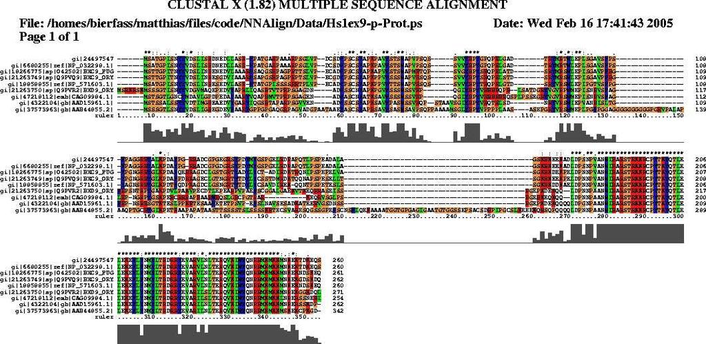 Parameters Exon 1 sequences of HOX Globin Domain :