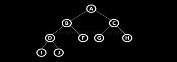 A tree in which every node can have a maximum of two children is called as Binary Tree. The root, left subtree and right subtree. 4. What is mean by siblings?