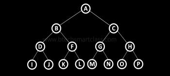 The leaves of an expression tree are operands such as constants or variable names and the other nodes contain operators 6. What is strictly binary tree (or) full binary tree?