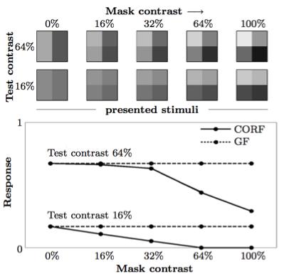 Comparison of CORF and Gabor filter models The reduced response of real simple cells to a mask of orthogonal orientation (to