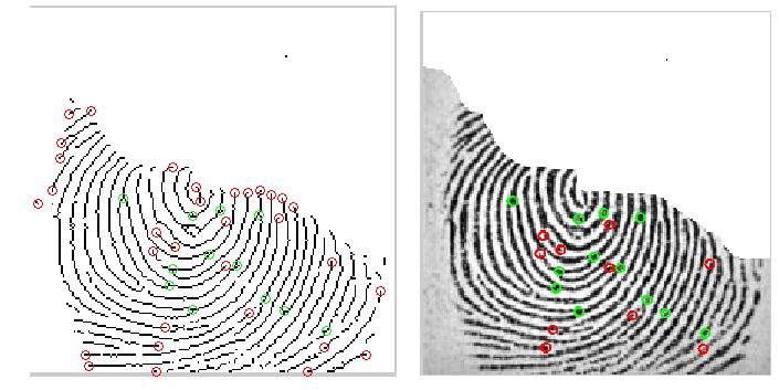 Step4: Stores particular fingerprint image in matrix form in database for later comparison Step5: Tolerance within slope set the threshold of verification for matching input template.