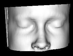 Figure 9: This figure shows a tool used to transform the right face of figure 8 in to the left face.