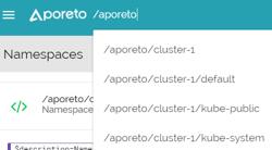 The Aporeto namespace is hierarchical, allowing for layered access and policy control.