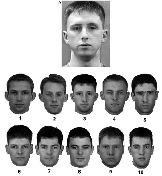 Face recognition performance in humans Which of the 10 photos on the bottom depicts the target face?