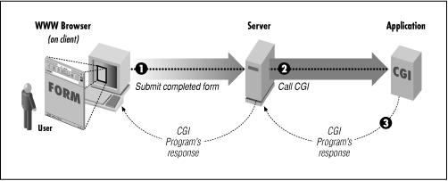 PHP Motivation Common Gateway Interface CGI The Common Gateway Interface (CGI) is a standard method for web servers to use external applications, a CGI program, to dynamically generate web pages 1 A