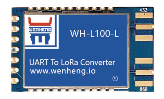 WH-L100 User Manual