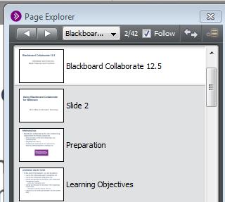 Advancing Slides You, as the moderator, can use the Page Explorer to navigate to the desired slide: Click on the forward or backward arrow or double click on the desired
