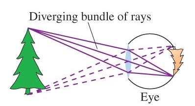 of Light Sources of Light Rays: