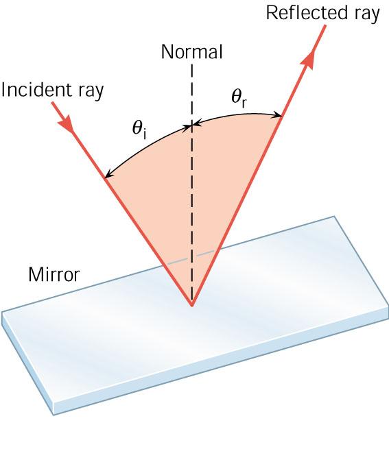 The incident ray and the reflected ray are both in the same plane, which is perpendicular to the surface, and 2.