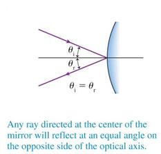 Special Rays for a Convex