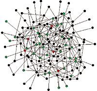 Network properties Using a Web crawler, Barabasi-Albert in 1999 mapped the connectedness of the Web, and