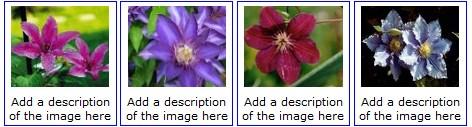 CSS Image Gallery CSS can be