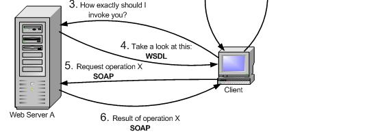 Services in the Web and the Grid Invoking a Typical Web Service