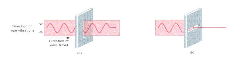 Linear Polarization of Light: light is a transverse wave, and therefore it may exhibit two different polarizations.