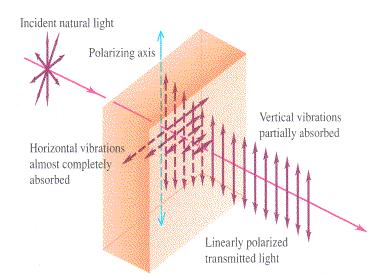 Another nice picture explaining how polarizing foil works: BTW, the direction along which light