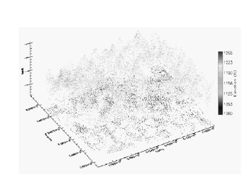 point cloud where the DEM has a height of zero and the returns