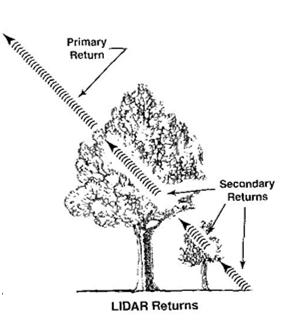Lidar DEMs: The General Principal Many different methods exist to identify the ground from nonground returns.