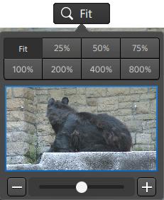 Click Fit to scale the video to fill the Video pane. Click a preset to scale the video to a predefined magnification level.