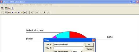 From the Chart Editor menus choose: Chart Title For Title 1, enter
