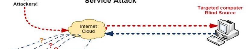 Network vulnerability DoS attacks