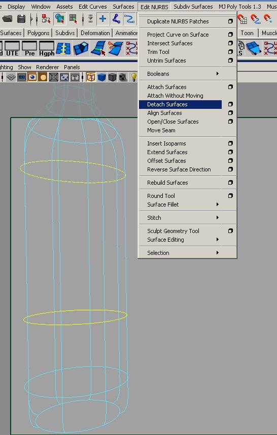 Building label will improves the look of the image. Select the outer surface Isoparm & then in Surface menu go to surface & detach it. Your job is done.
