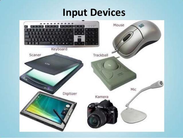 your computer Example: mouse,
